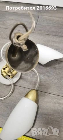 Полилеи, снимка 9 - Полилеи - 54249835