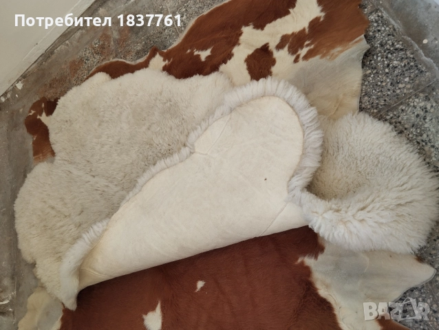 Огромна Естествена кожа 