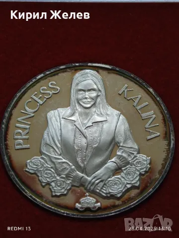Плакет Европейско първенство по кърлинг2004г. София Принцеса Калина 49561, снимка 2 - Антикварни и старинни предмети - 50003454