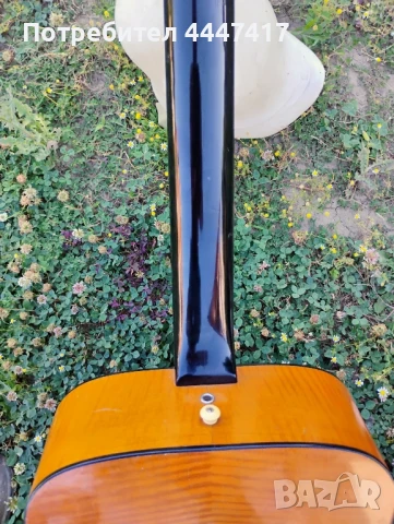 Германска акустична китара , снимка 8 - Китари - 50899222