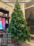 Коледна Елха, снимка 6