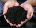 Оборска тор, Черна пръст(чернозем), снимка 1 - Тор и почвени смеси - 45276229