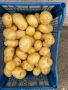 Продажба картофи в гаца десятки, снимка 1 - Домашни продукти - 43791892