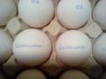 Комплекс за маркиране MARK EGGS HP-16800, снимка 2