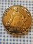 СССР плакет Волгоград , снимка 1