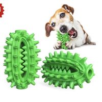 Играчка за куче PET INT Cactus Tooth Ball Green, снимка 1 - За кучета - 45553804