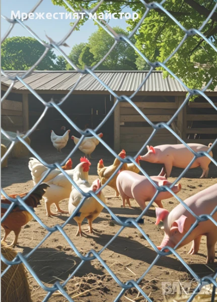 Поцинкована мрежа 2x2 см от 2 мм тел 900Нютона– Супер оферта! , снимка 1