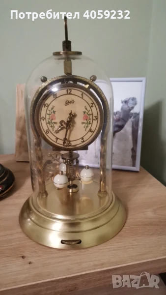 400 дневен Schatz, снимка 1