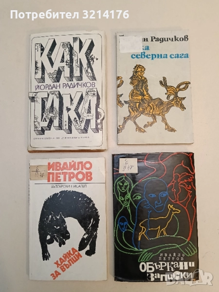 Малка северна сага - Йордан Радичков, снимка 1