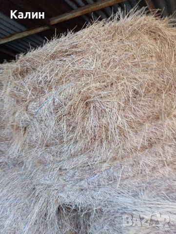продавам Бали сено цена 8 лв.,бали слама,рола царевичак, снимка 6 - Други - 43155951