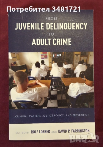 От младежки пакости до престъпник в зряла възраст / From Juvenile Delinquency to Adult Crime