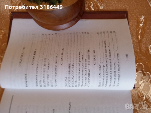 Сергей Есенин- книга на руски език , снимка 6 - Художествена литература - 52925062