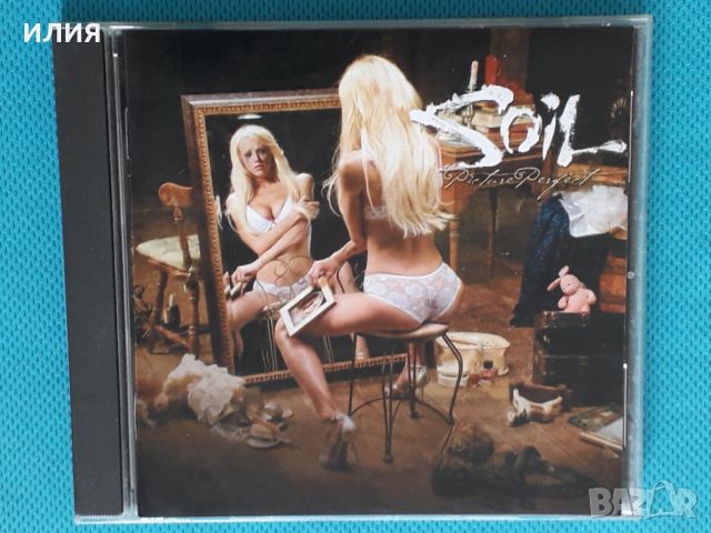 SOiL – 2009 - Picture Perfect(Groove Metal)