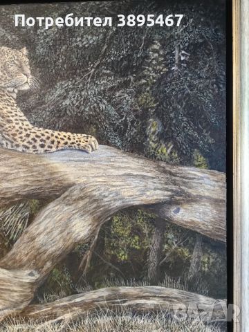 Маслена творба върху платно "Леопард върху дърво", снимка 5 - Картини - 45916309