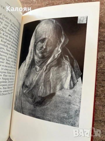 Книга за Албрехт Дюрер - акварели и рисунки на немски , снимка 18 - Специализирана литература - 51009336