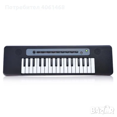 Детска йоника с микрофон, снимка 1 - Музикални играчки - 48705028