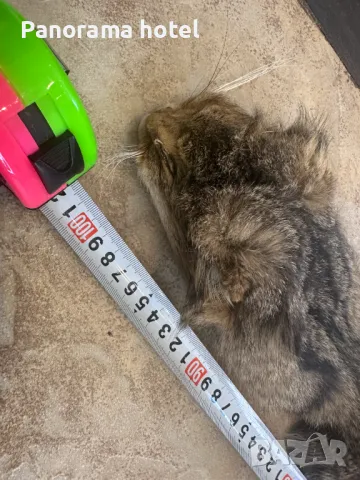 естествена кожа с косъм 