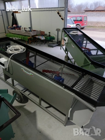 Машина за чистене/обезлистяване (почиства от бради и листа) и сортиране на лук, снимка 4 - Други машини и части - 53727608