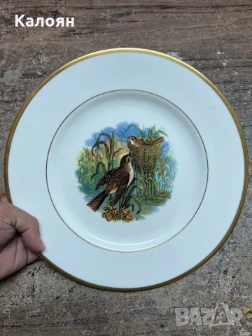 Порцеланова чиния с рисунка на птици колекционерска , снимка 2 - Колекции - 50529728