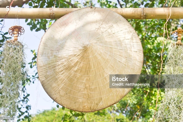 🌱 Виетнамска шапка 🇻🇳 🎋, снимка 3 - Шапки - 53633921