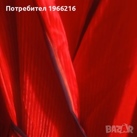 Халат, снимка 1 - Нощници - 46457310