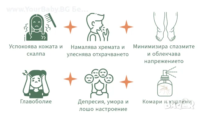 Oilo БИО Етерично Масло от Кора от Цитронела (Cymbopogon winterianus) - Citronella Oilo 5 мл., снимка 11 - Други - 49721731