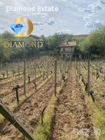 Имот с две вили в гр. Харманли, снимка 5 - Вили - 53118289