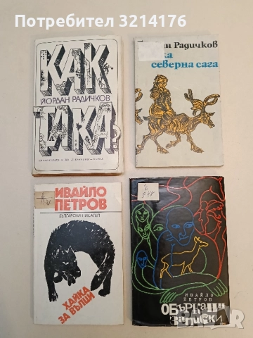 Малка северна сага - Йордан Радичков