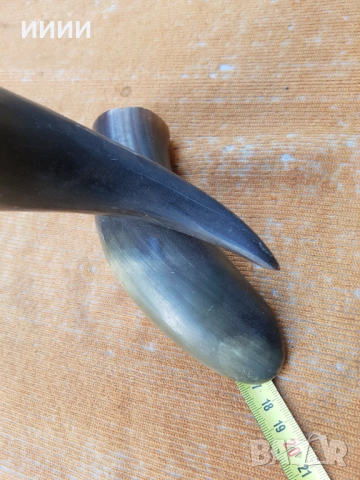 Ваза биволски рог , снимка 6 - Антикварни и старинни предмети - 53772651