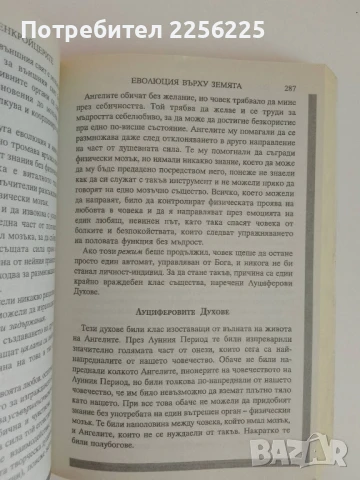 "Животът в отвъдното, прераждането,съдбата и...", снимка 5 - Езотерика - 51116954