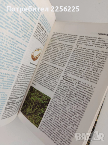 ЛОТ Градинарство, снимка 8 - Специализирана литература - 54145229