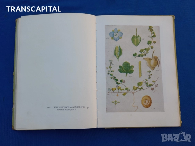 Борба с плевелите , снимка 6 - Специализирана литература - 51794322