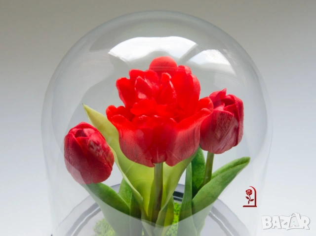 Вечни Лалета в Стъкленица със Скандинавски Мъх / Подарък за Рожден Ден на Жена / Подарък за Имен ден, снимка 4 - Подаръци за жени - 54055776