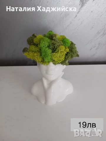 Кашпи със скандинавски мъх – тип „Лице“, снимка 8 - Декорация за дома - 51278821