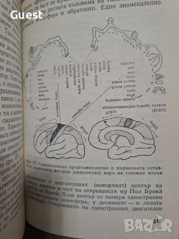 Химия на емоциите и поведението П.Попов, снимка 5 - Специализирана литература - 46060504