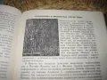 Что знает история об Иисусе Христе? -  И. А. Крывелев, снимка 6