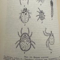 Наръчник по дезинфекция,дезинсекция и дератизация,Д.Козаров, снимка 12 - Специализирана литература - 45334584