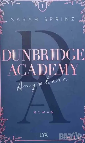 Dunbridge academy, снимка 1