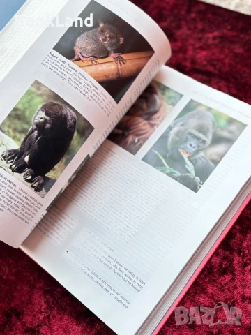 The nature of life, снимка 6 - Художествена литература - 53948126