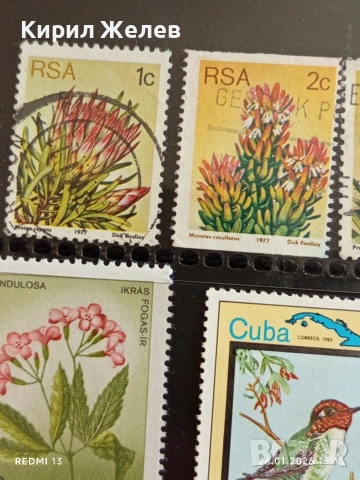 Стари пощенски марки от цял свят смесени ПТИЦИ, ЦВЕТЯ за КОЛЕКЦИЯ ДЕКОРАЦИЯ 52069, снимка 5 - Филателия - 53232019