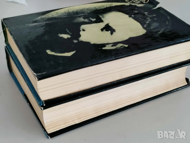 Христо Ботев, Събрани съчинения, два тома, 1971 г., снимка 4 - Българска литература - 53886082