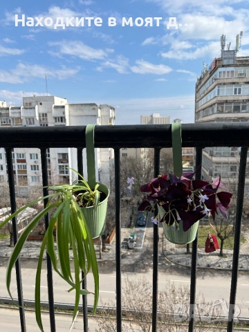 Стайни растения с метална кашпа за балкон