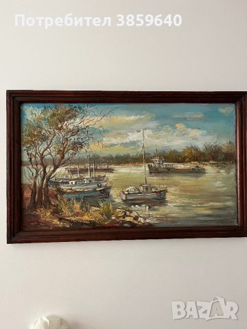 Картина кораби по Дунав