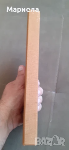 Локално киселинно състояние на организма и неговите нарушения  , снимка 2 - Специализирана литература - 50878596