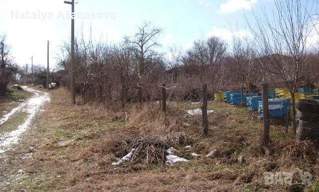 Къща за продажба в Сърнец, област Добрич, снимка 13 - Къщи - 53656508