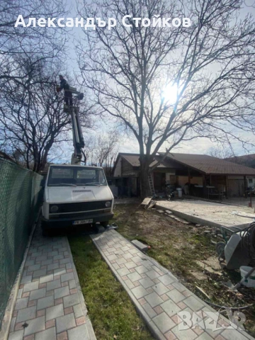 Рязане и кастрене на дървета с автовишка, снимка 12 - Други услуги - 54006380