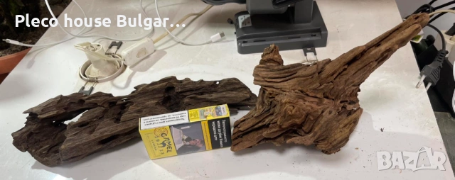 7 последни мангрови корена ,цена за всички 50 евро, снимка 2 - Оборудване за аквариуми - 53385277