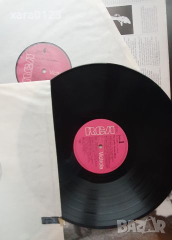 Enrico Caruso – Das Grosse Caruso Album 2LP, снимка 3 - Грамофонни плочи - 45323847