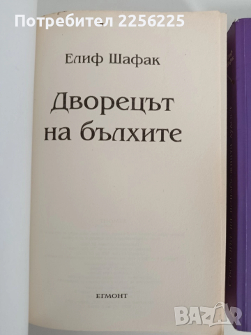 ЛОТ Елиф Шафак, снимка 8 - Художествена литература - 52849670