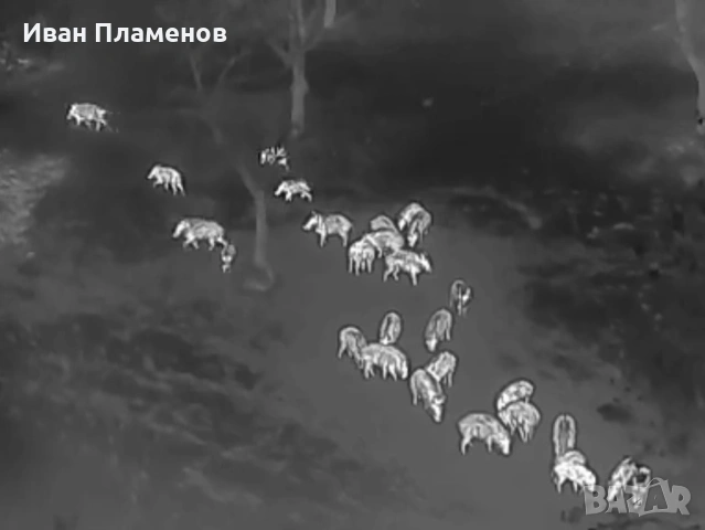 Услуги с термален термо дрон за нощно виждане ФЕЦ SAR Издирване на Хора Засичане Спасяване, снимка 11 - Други услуги - 53813380